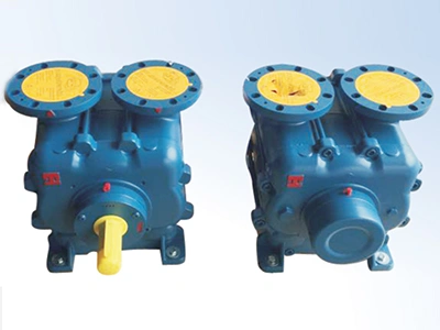 Imported Italian Vacuum Pump