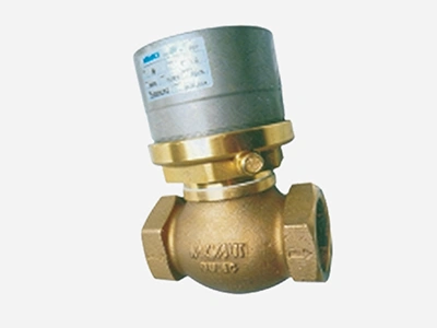 Vacuum Valve